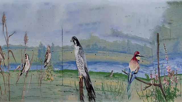 Pajaritos _0002_Capa 3