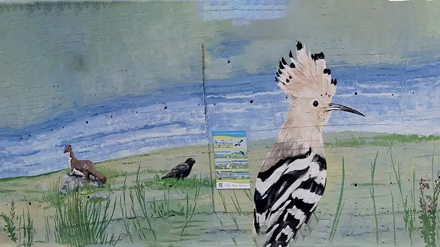 Pajaritos _0003_Capa 4