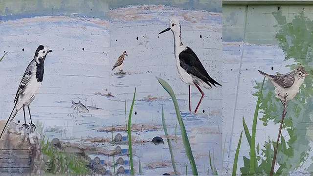 Pajaritos _0005_Capa 6