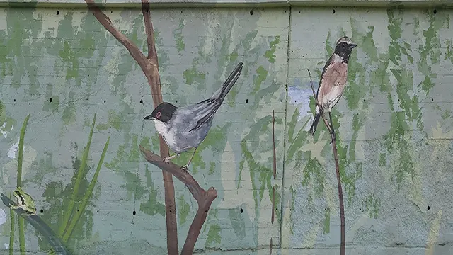 Pajaritos _0006_Capa 7