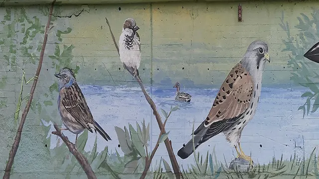 Pajaritos _0007_Capa 8