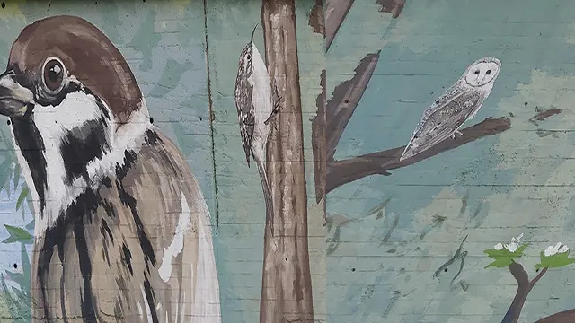 Pajaritos _0008_Capa 9