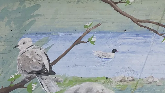 Pajaritos _0009_Capa 10