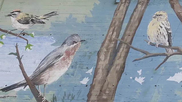 Pajaritos _0010_Capa 11