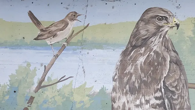 Pajaritos _0012_Capa 13