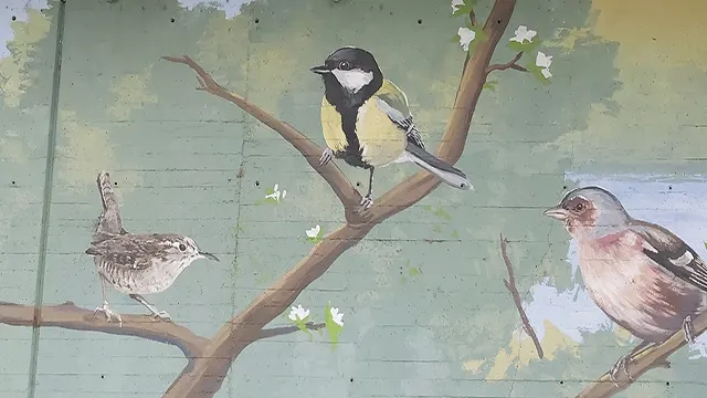 Pajaritos _0013_Capa 14