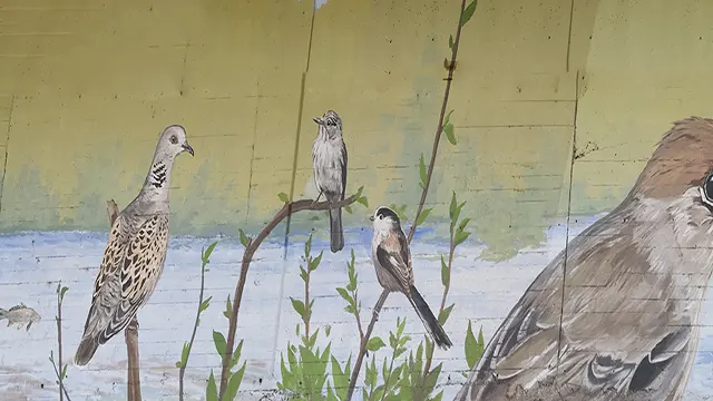 Pajaritos _0015_Capa 16