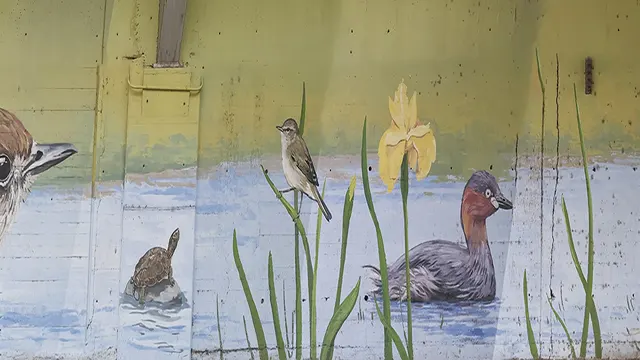 Pajaritos _0016_Capa 17