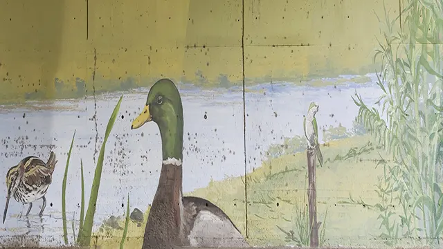 Pajaritos _0017_Capa 18