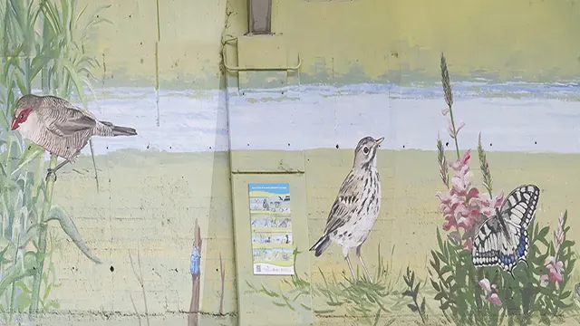 Pajaritos _0018_Capa 19