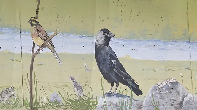 Pajaritos _0019_Capa 20