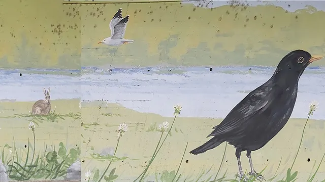 Pajaritos _0020_Capa 21