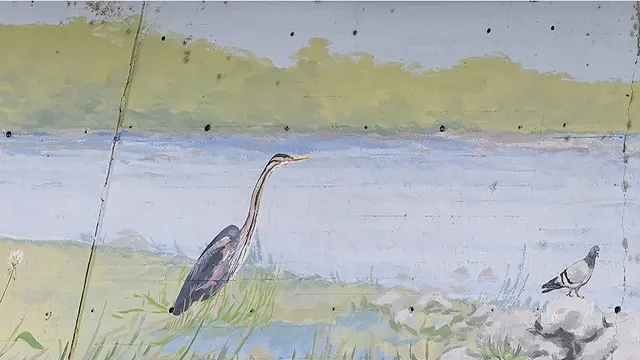 Pajaritos _0021_Capa 22