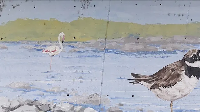 Pajaritos _0022_Capa 23