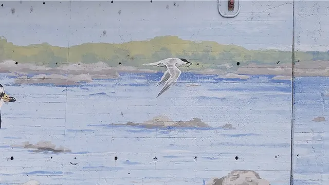 Pajaritos _0023_Capa 24