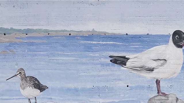 Pajaritos _0024_Capa 25