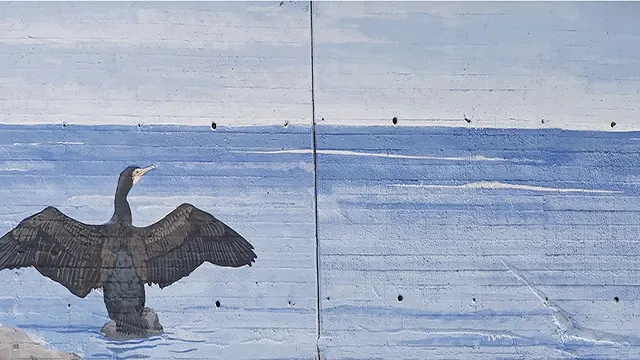 Pajaritos _0026_Capa 27