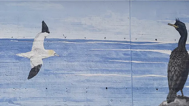 Pajaritos _0027_Capa 28