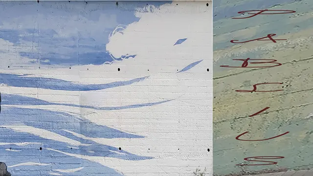 Pajaritos _0029_Capa 29