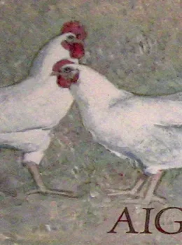 Fesco en cuadros_0011_Capa 1